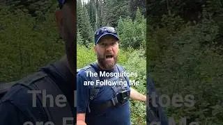 Mosquito following