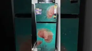 Haier Double door Magic Convertible Refrigerator 😊#refrigerator#viral