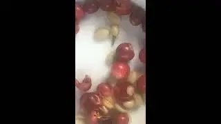 The Making of Kona Coffee