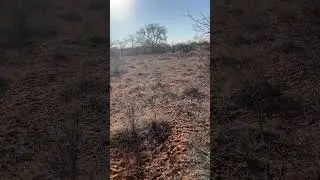 #funny #huntingfails #funnyvideo #jag