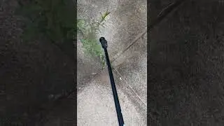 Don't Let Weeds Ruin Your Garden or Driveway! The Latest Weed Killers Are Fast & Effective!