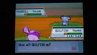 (Live) Shiny Snubbull - Pokemon HeartGold Version (20,223 REs)