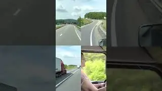 Trucking with dogs 🚛🛣️🐶 Follow The Fleet Owner @alialidina #alialidina #examtransport