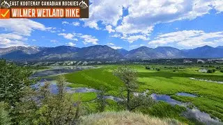 🍁Canadian Rockies🍁Wilmer Wetland Hike - Columbia National Wildlife Area - British Columbia #birdlife