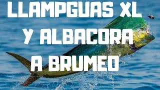 Fishing 2 LLAMPUGAS XL 🐟1 ALBACORA1 y ATUN GIGANTE!!!