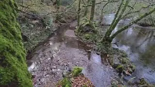 Here we are the other day tracking rats and mink on the river banks 