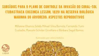 Subs&iacute;dios para o plano de controle da invas&atilde;o do coral-sol na ReBio Arvoredo: aspectos reprodutivos