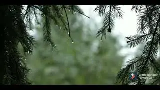 Megher pore megh jomeche#song of Rabindranath#Arindam Rakshit