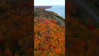 Michigan is the most underrated fall destination in the US 😍 #michigan  #fallfoliage #fall