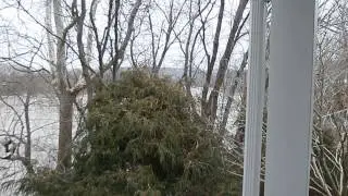 Chemung River Flooding March 30, 2014
