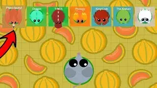 I ate only Melons to become Pterodactyl​ in Mope.io
