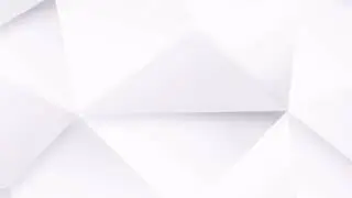 Declarantes de aduanas
