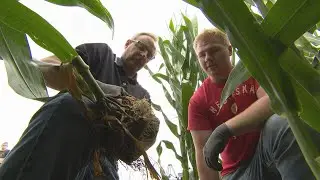Root Research | What If... | NET Nebraska