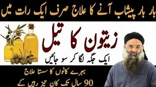 Quotes About Life urdu | Hazrat Ali Quotes | Rumi Quotes Urdu / Sunhary Haroof Urdu / Golden Words.