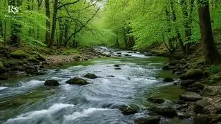 River Sounds for Sleep All Night Long | Gentle River Flow White Noise