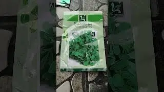 buy seeds from nursery
