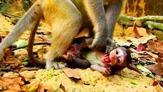 Poor baby hurt so much ! Terrible kidnapper drag baby very hard, Baby calling mum thousand times mum