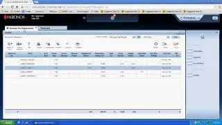 View accrual balances