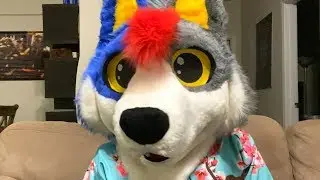 VIEWERS ROAST MY FURSONA!
