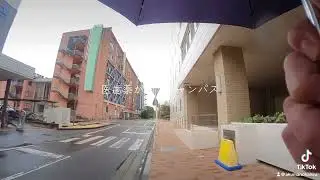 四国の国立大学　#shorts 