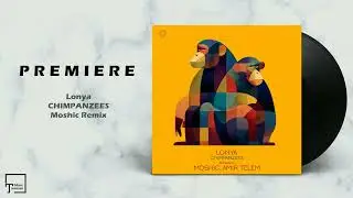 PREMIERE: Lonya - Chimpanzees (Moshic Remix) [ASYMMETRIC RECORDINGS]