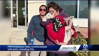 PNM  worker who found Otis helps others with lost animals