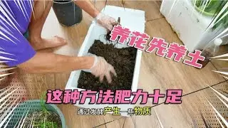 养花先养土，这种方法肥力十足