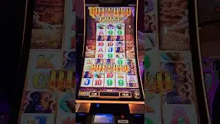 I Got the Rare Buffalo Stampede on Buffalo Chief! 🦬 #slots #casino  #slotmachine