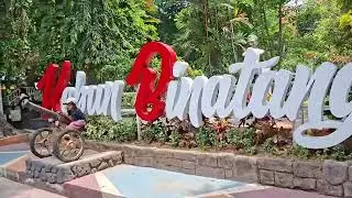 naik kereta di kebun binatang surabaya 