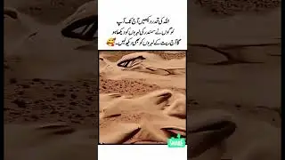 Allah ki kudrat / Rett ki laharen /#islamic #trending #viral #duet #shorts