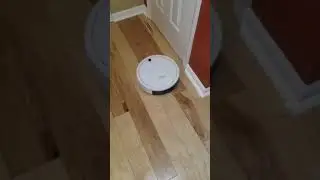 Bobi vacuum