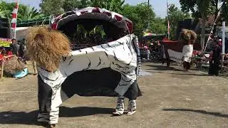 Cenematic Singo Barong SINGO SURO GONDO SANGIT Desa sumbersari ngampel kendal
