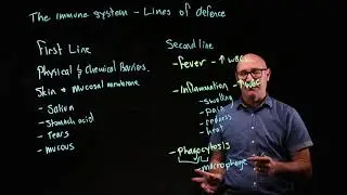 Infection control Lines of defence