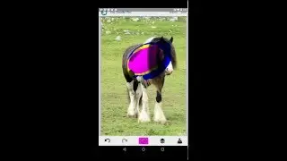 Learn the Basics of You Doodle for Android