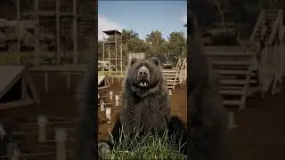 40. Where to Learn More About Wojtek? #BearWojtek