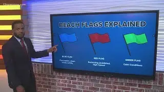 Beach flags: what are they and what do they mean?