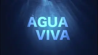 Agua Viva - Requisitos del salmo 91 - Pastor Juan Carlos Parra (2020-03-20)