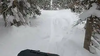 Lulu pass Dec 2022