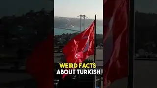 weird facts about Turkish culture 🇹🇷