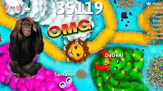 January 4, 2026,snake.io🐍Lion 🦁 snake skin🐍Dragon snake party,Zero to Hero gameplay||Snake Struggle