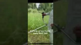 Cutting grass fast with Brush Cutter | Best cattle farming tool for farmers
