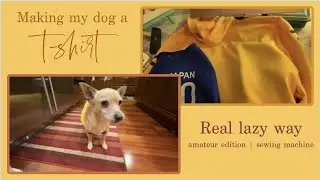 Randomly Sewing My Dog a Shirt