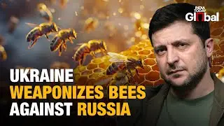 Ukraine Uses Beehives As Weapons Against Russian Troops | Insane War Tactic Explained