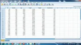 Get to Know Your Data | SPSS education