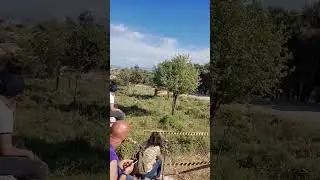 Micky's JUMP - WRC Italia Sardegna 2024