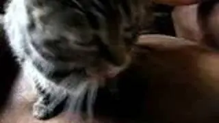 HellAshes Cat Interview