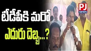 Prathipadu TDP MLA Varapula Subbarao Quit TDP||PJ NEWS