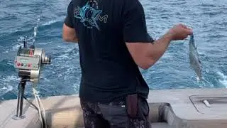 Check out our deep drop setup for Swordfish - FATHOM OFFSHORE