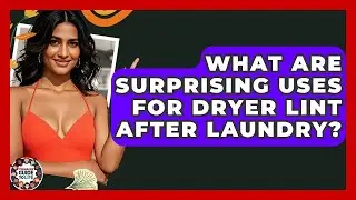 What Are Surprising Uses For Dryer Lint After Laundry? - Teenager Guide to Life