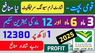 Short Term Saving Certificates Profit rates 2025 |How To Earn Money With Short Term Investment